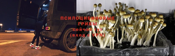 кокаин Абинск
