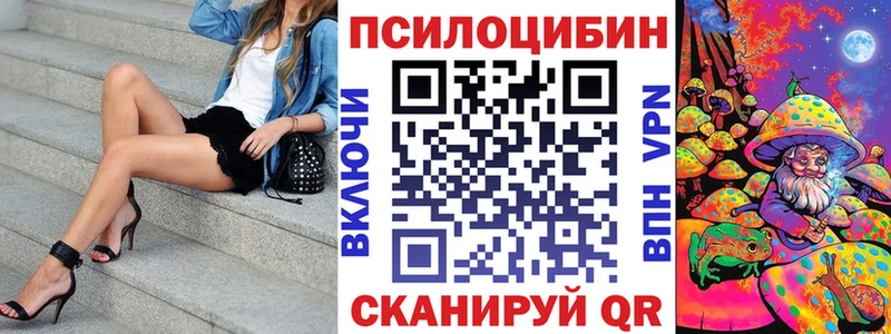 Псилоцибиновые грибы прущие грибы  где купить наркоту  Тайга 